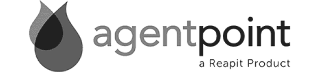 Agent Point Logo